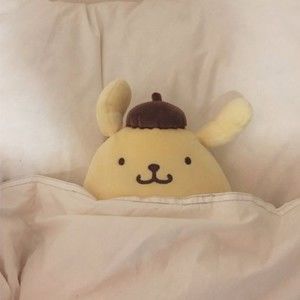 Meet your Posher, Iris